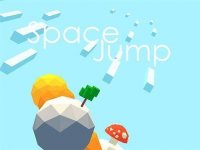 Cosmic Leap Family Run