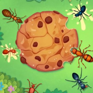 Cookie Trail Adventure