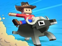 Wild Ride Zoo Builder