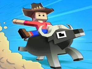 Wild Ride Zoo Builder