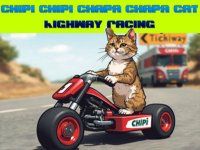 Cat Lane Dash Racing