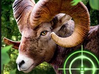 Safari Tracker Adventure Arcade