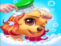 Puppy Care Arcade Game