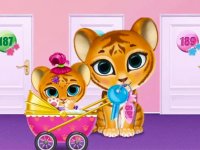 Pet Hotel Care and Management