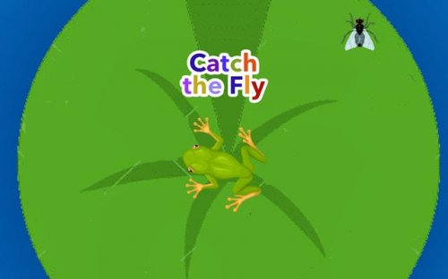 Catch the Fly - Classic Arcade Game