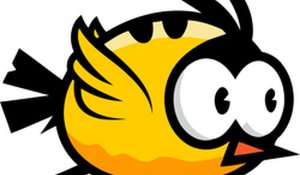 Skyward Fowl Flight Challenge